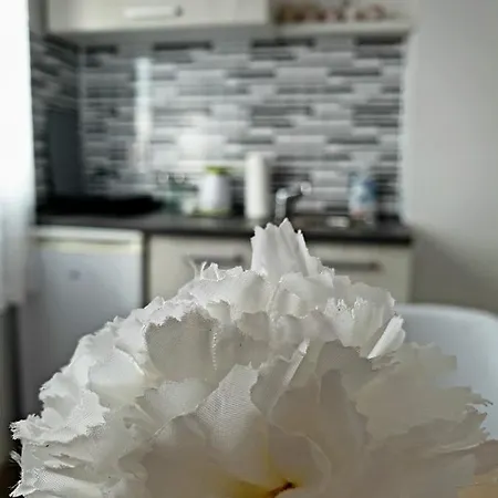 Fenix 아파트 자예카르