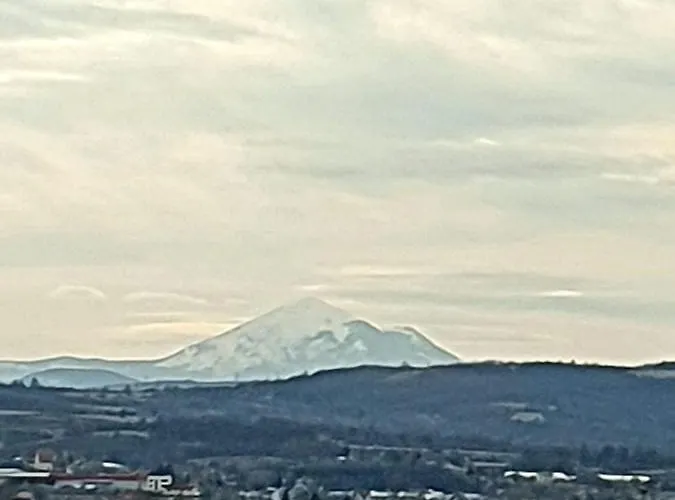 아파트 Fenix 자예카르