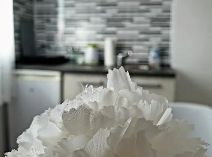 Fenix 아파트 자예카르