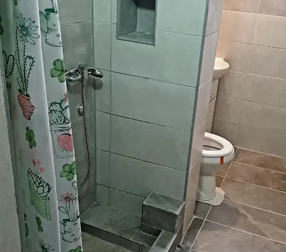 Fenix * 자예카르